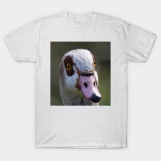 Egyptian Goose T-Shirt